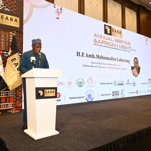 El Ministro de Juventud y Deportes asiste a la conferencia anual de la Asociación de Empresarios Egipcios-Africanos y a la Noche de Ramadán Africana