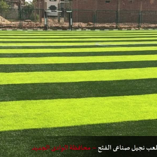 بعد ملاعب حلايب وشلاتين.. "المدن" تنهي مشروعات متنوعة في مراكز شباب المحافظات الحدودية