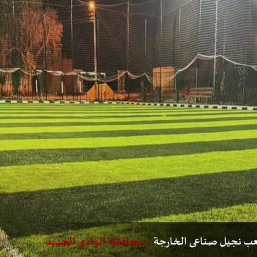بعد ملاعب حلايب وشلاتين.. "المدن" تنهي مشروعات متنوعة في مراكز شباب المحافظات الحدودية