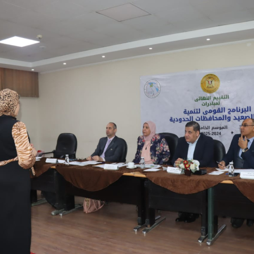 بدء اجراء التقييم النهائي لمبادرات البرنامج القومي لتنمية أبناء الصعيد والمحافظات الحدودية