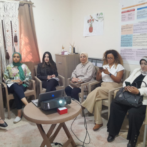 وزارة الشباب والرياضة تستقبل وفداً من ممثلى وأعضاء صندوق الأمم المتحدة للسكان
