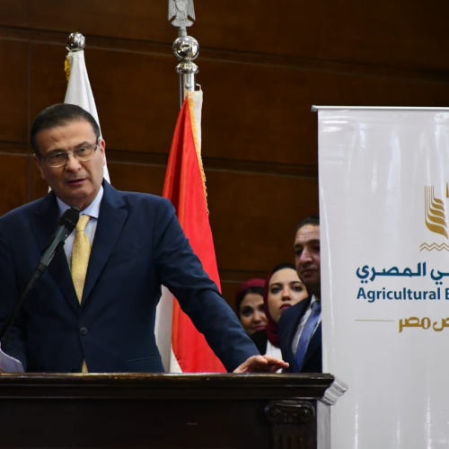 وزيرا الشباب و"الزراعة" يشهدان الاحتفال باليوم العالمى للأشخاص ذوى الإعاقة