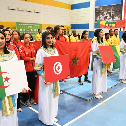 وزير الرياضة يشهد افتتاح البطولة الأفريقية التاسعة  للووشو كونغ فو *
