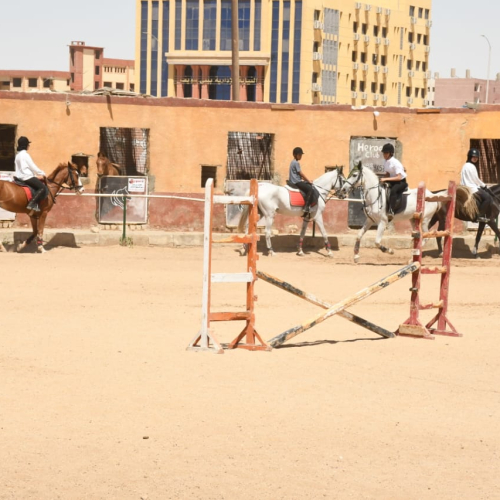 وزير الشباب ومحافظ بني سويف يتفقدون الأنشطة والمشروعات داخل مركز التنمية الشبابية
