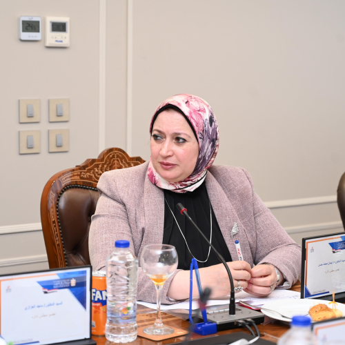 د. أشرف صبحي يترأس اجتماع مجلس إدارة صندوق التمويل الأهلي لرعاية النشء والشباب والرياضة